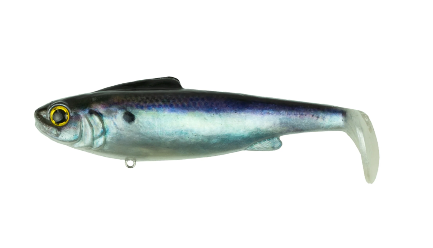6th Sense Hangover Live Gizzard Shad Medium Sink