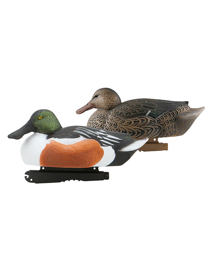 Over-Size Shoveler Decoys