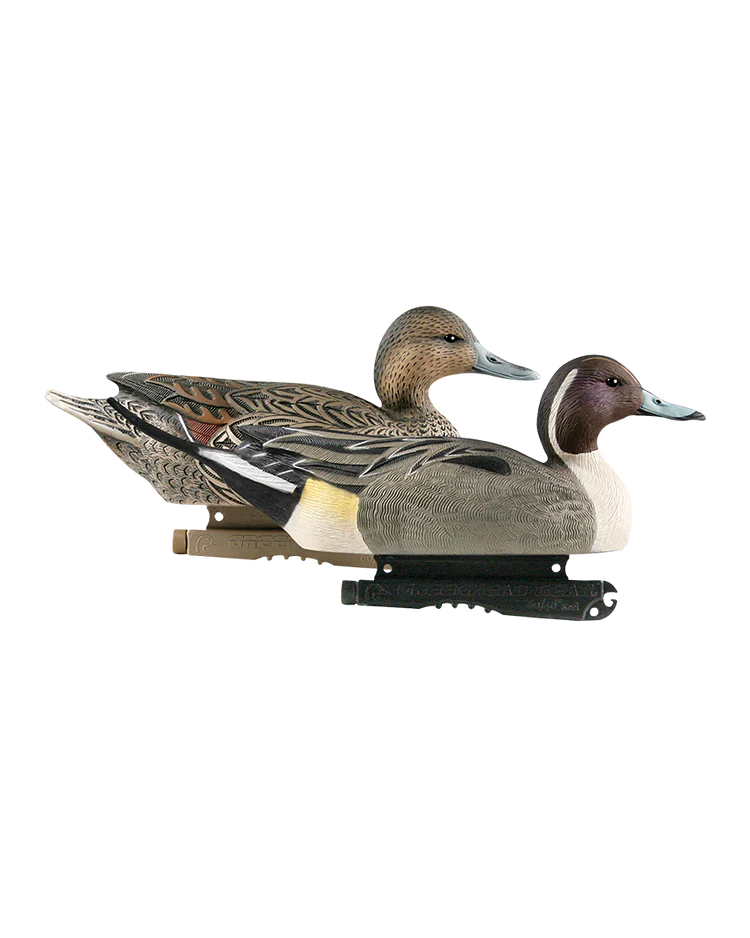 LIFE SIZE PINTAIL DECOYS