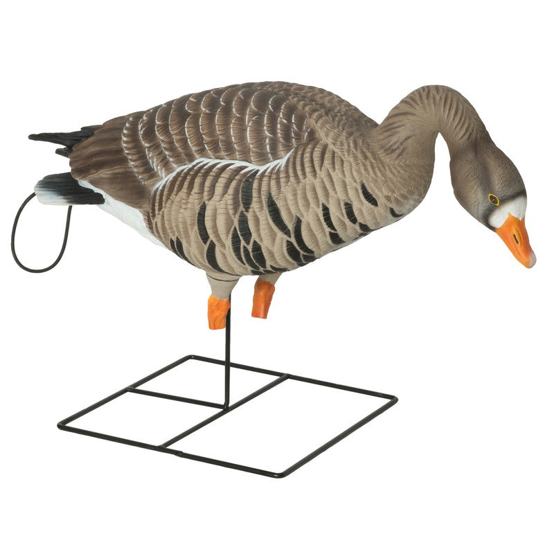 PG XD SPECKLEBELLY-HARVESTER 4pk