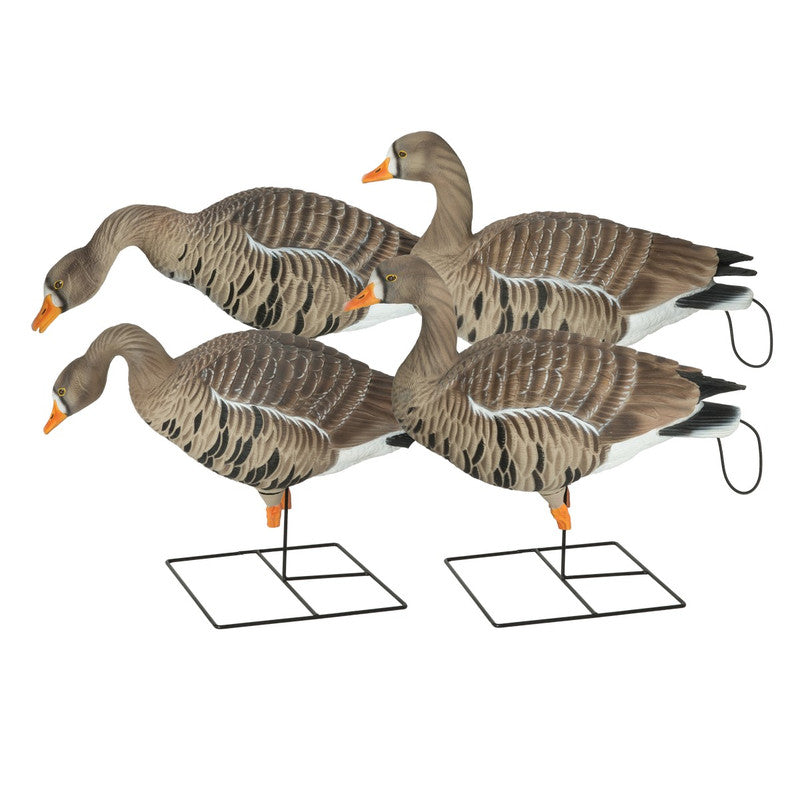 PG XD SPECKLEBELLY-HARVESTER 4pk