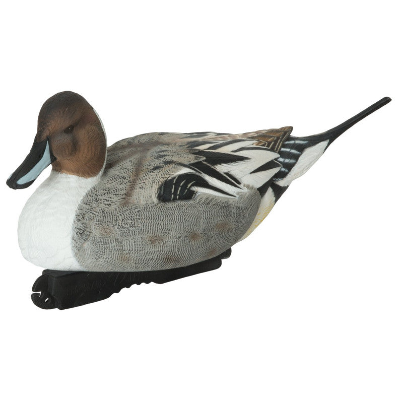 AVERY PG XD SERIES PINTAIL HARV 6PK
