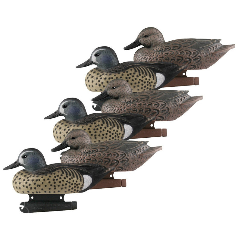 AVERY Life-Size Blue-Winged Teal