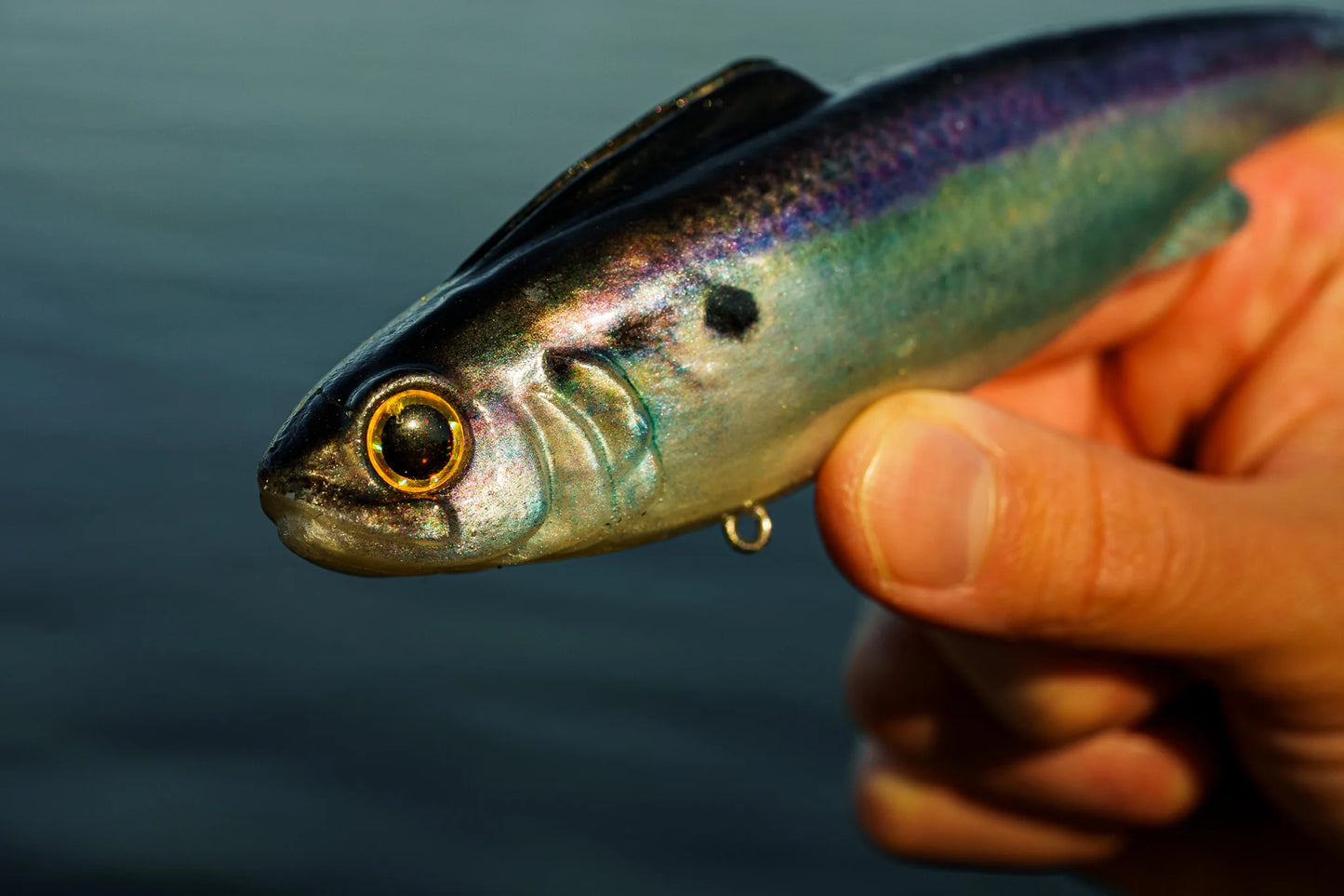 6th Sense Hangover Live Gizzard Shad Medium Sink