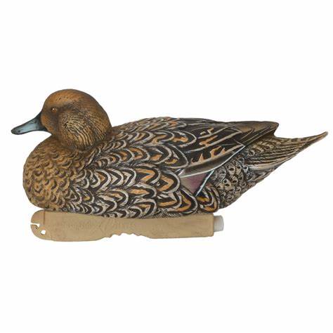 AVERY PG XD SERIES PINTAIL HARV 6PK