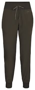 SIMMS WOMENS BUGSTOPPER JOGGER