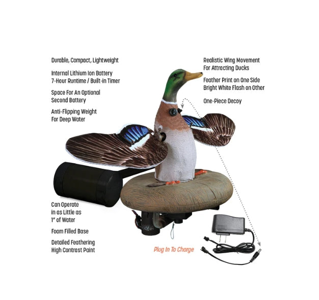SPLASHING FLASHER Mallard Drake