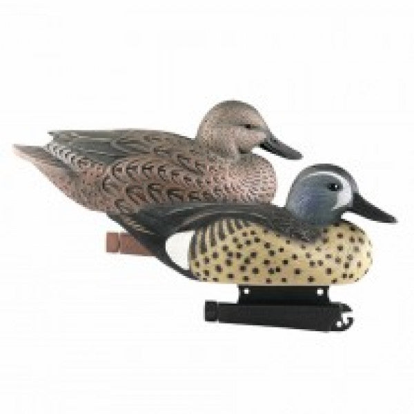 AVERY Life-Size Blue-Winged Teal