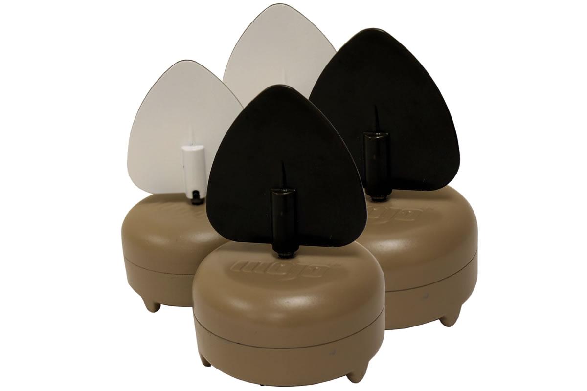Mojo Dove A Flicker HW2461