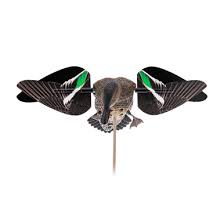 Avian X Spinning Wing Dove decoy for hunting with realistic wing motion, hunting, decoy, avian, wing dove, wing dove decoy