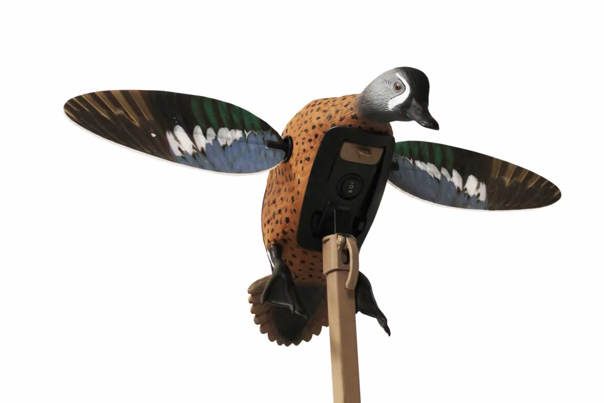 Mojo Elite Series Blue Wing Teal HW2475-3P