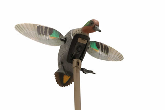 Mojo Elite Series Green Wing Teal HW2474-3P