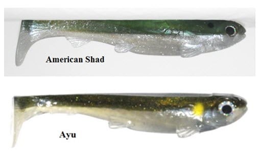3:16 LURES RISING SON 6.75 3:16 LURES RISING SON 6.75