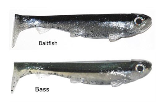 3:16 LURES RISING SON 6.75" BOTTOM HOOK LINE-THRU SWIMBAIT