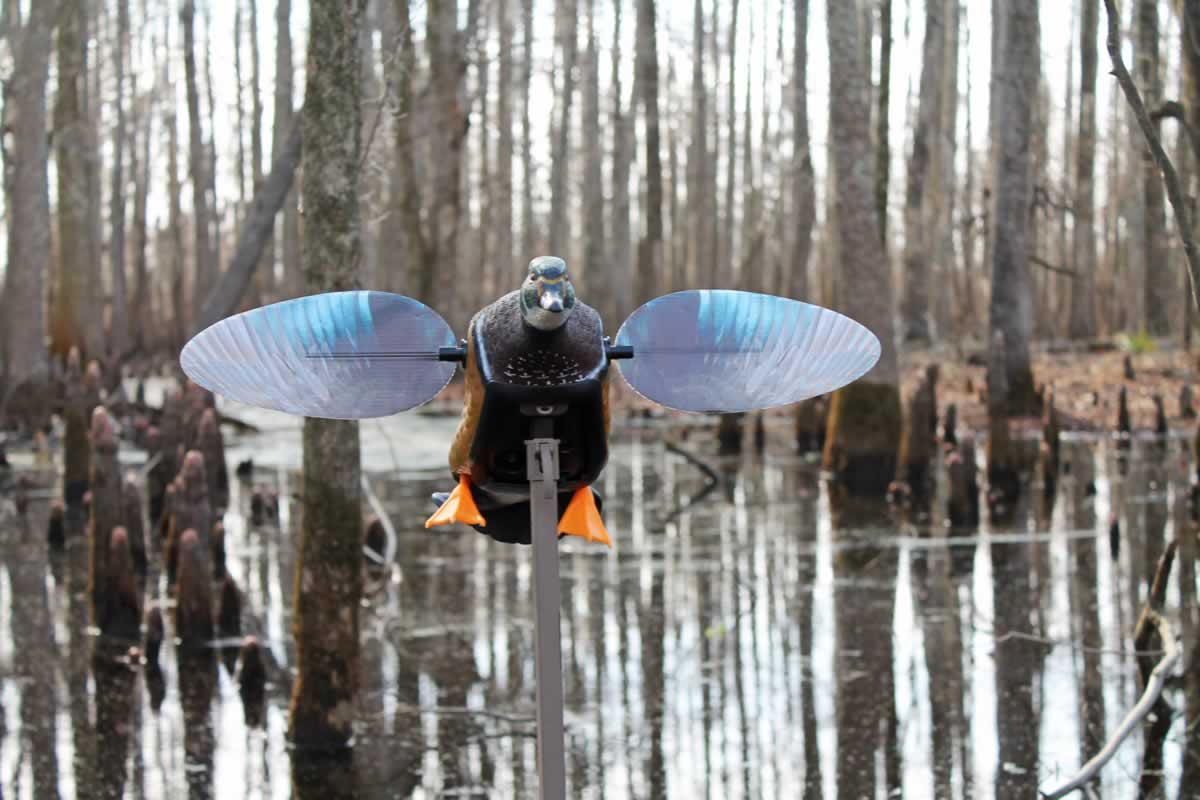 Mojo Elite Series Woody HW2472-3P