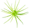 Hideup Coike Creature Bait