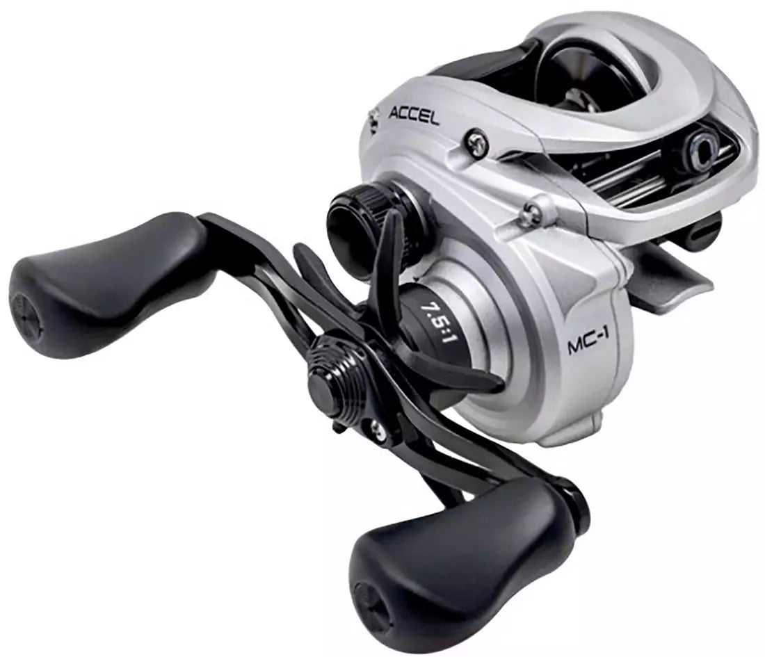 Lew's Accel Baitcast Reel