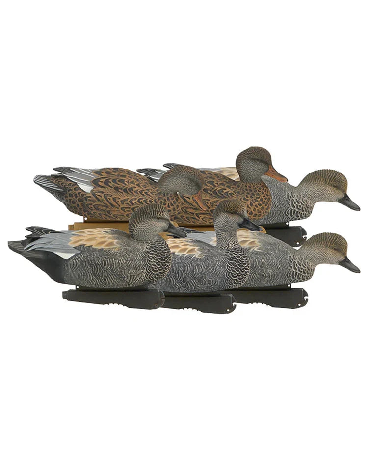 Pro-Grade Gadwall Decoys