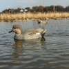 Avian X Power Swimmer Gadwall