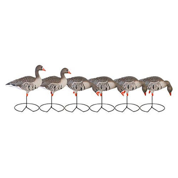 Specklebelly Goose Decoys – Full-Body Harvester 71852