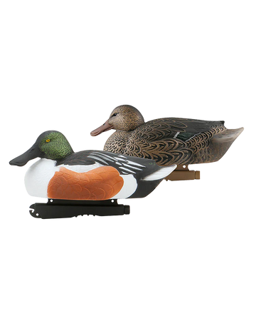 Over-Size Shoveler Decoys