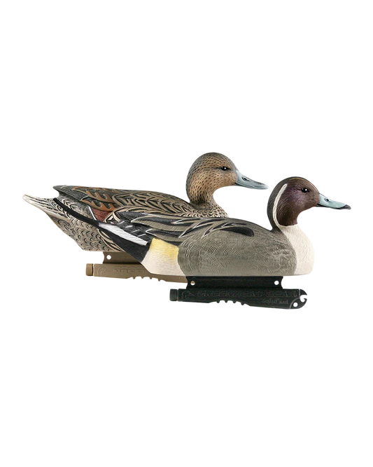 LIFE SIZE PINTAIL DECOYS