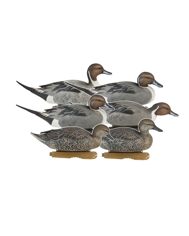 Pro-Grade Pintails 73131