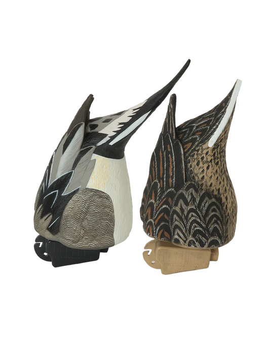 PG PINTAIL BUTT-UP FEEDER PACK