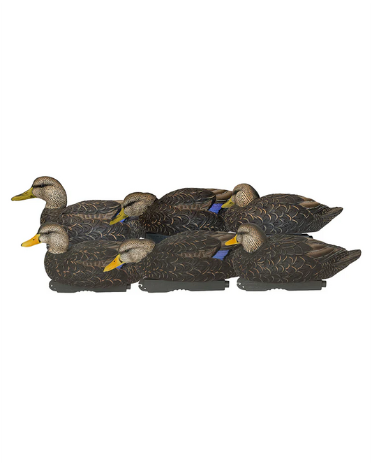 PRO-GRADE XD BLACK DUCKS HARVESTER
