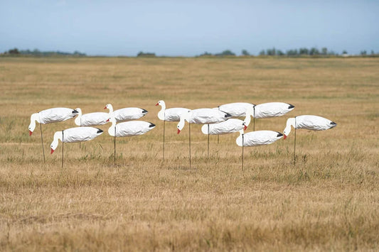 GHG Pro-Grade Snow Goose Sock Decoys