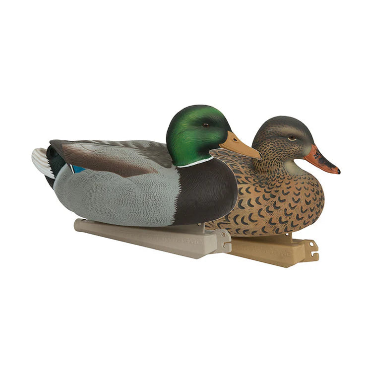 ES MALLARDS