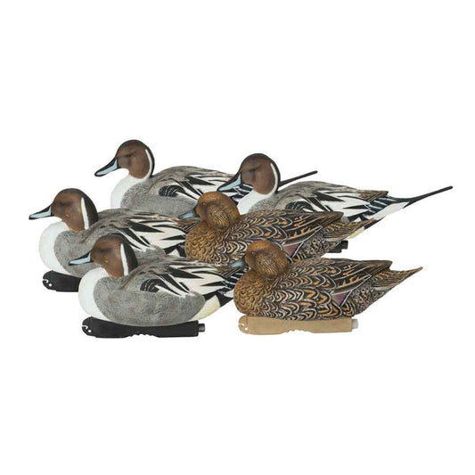 AVERY PG XD SERIES PINTAIL HARV 6PK