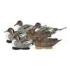AVIAN X TOPFLIGHT PINTAIL 6PK