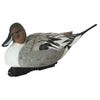AVERY PG XD SERIES PINTAIL HARV 6PK