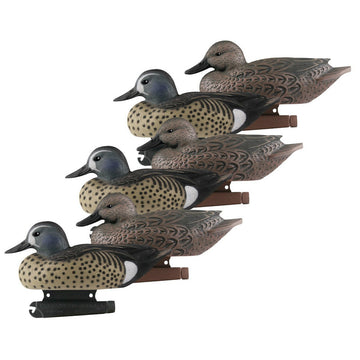 AVERY Life-Size Blue-Winged Teal