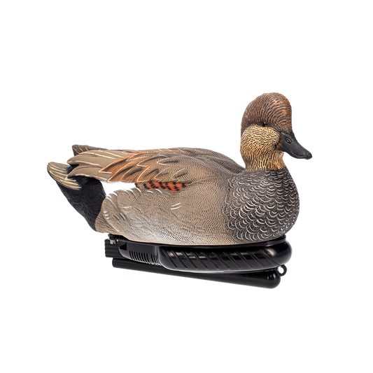Avian X Power Swimmer Gadwall
