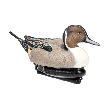 Avian X Power Swimmer Pintail