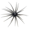 Hideup Coike Creature Bait