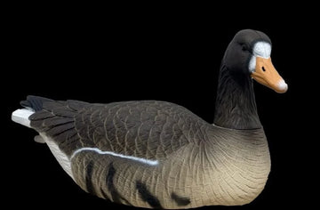 Blind Grass Light'N'Load 'Dark Side' Specklebelly Floater Decoy 6 pack
