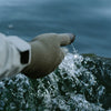 Aftco Breakwater Waterproof Glove