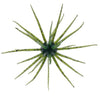 Hideup Coike Creature Bait