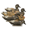 19913 STANDARD GADWALL
