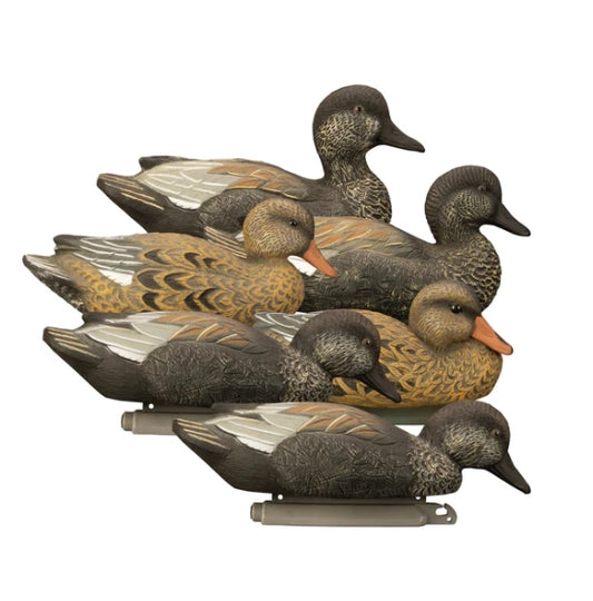 19913 STANDARD GADWALL