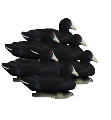 STANDARD COOT