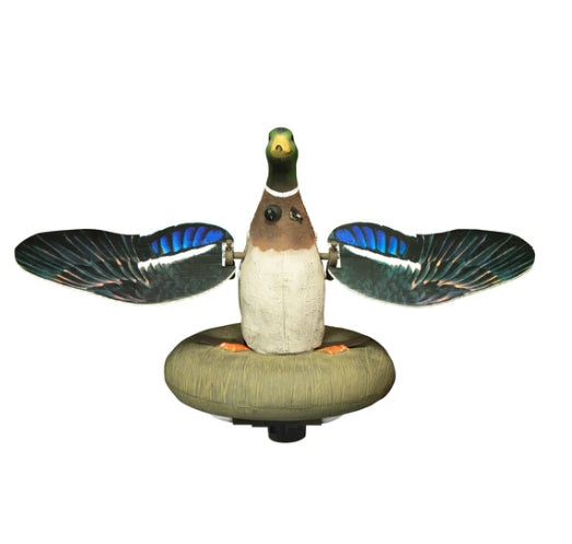 SPLASHING FLASHER Mallard Drake