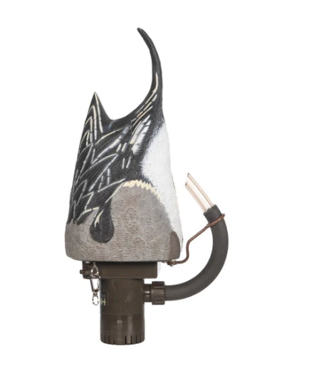 PULSATOR PRO PINTAIL