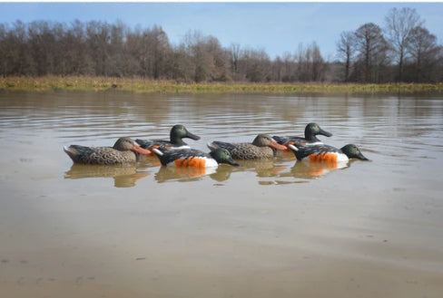 STANDARD SHOVELER