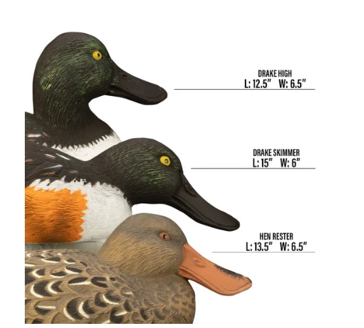 STANDARD SHOVELER