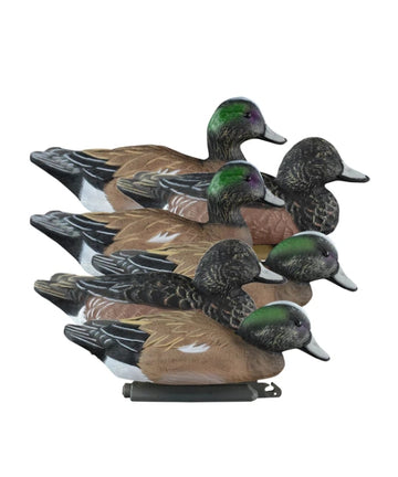 STANDARD WIDGEON