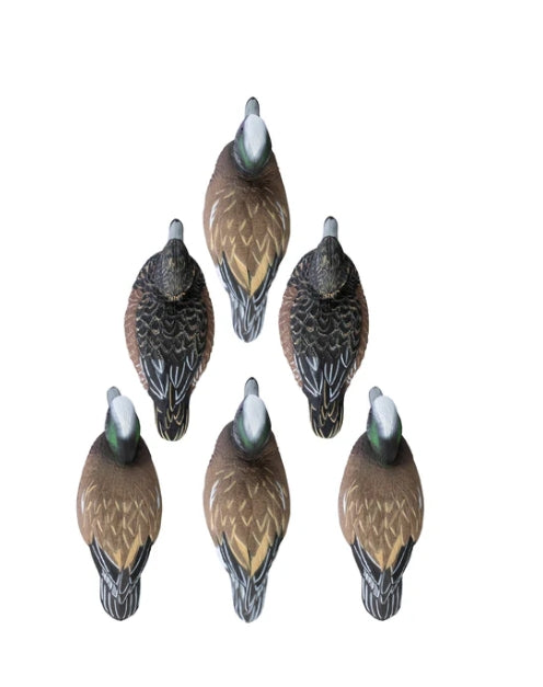 STANDARD WIDGEON